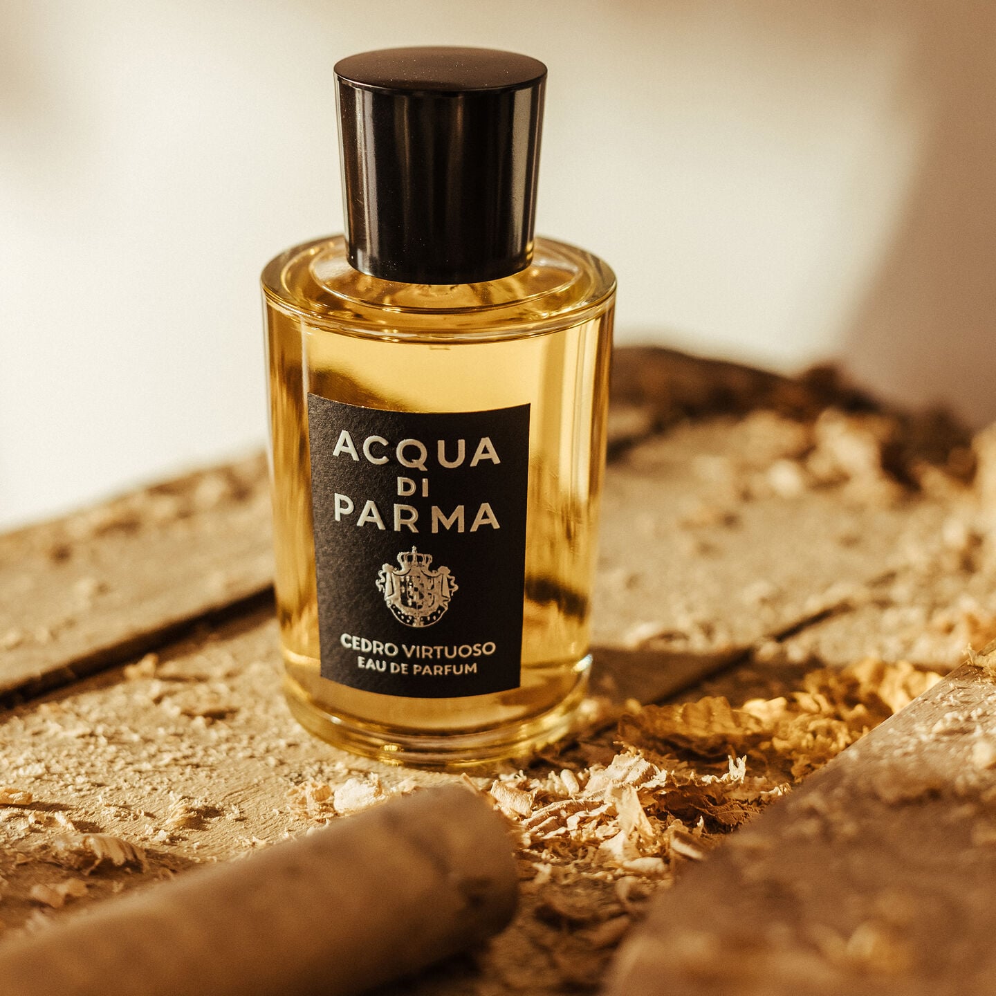fragrances